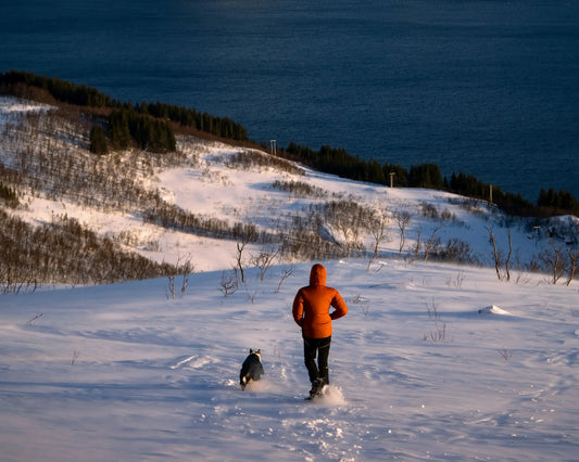 Personne et chien courant ensemble dans la neige face à un paysage de montagne enneigée et lac, lors d'une balade hivernale.