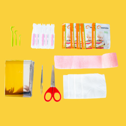 Trousse de premiers secours pour chien et chat