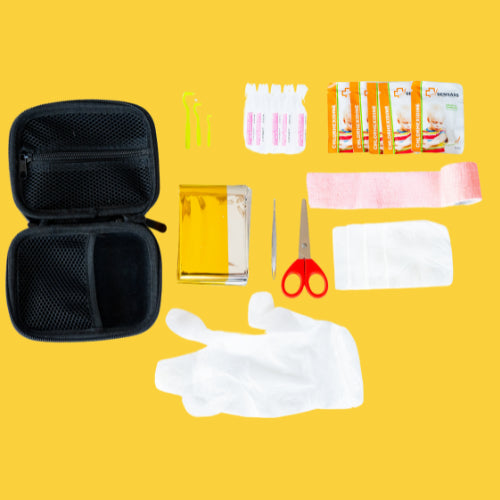 Trousse de premiers secours pour chien et chat