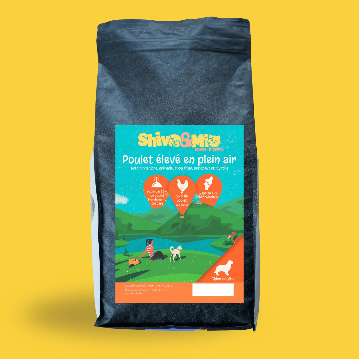 Sac de croquettes poulet premium sans céréales pour chien adulte