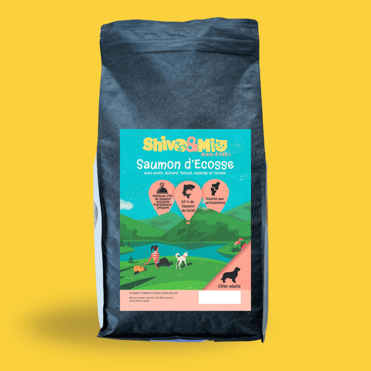 Sac de croquettes saumon premium sans céréales pour chien adulte
