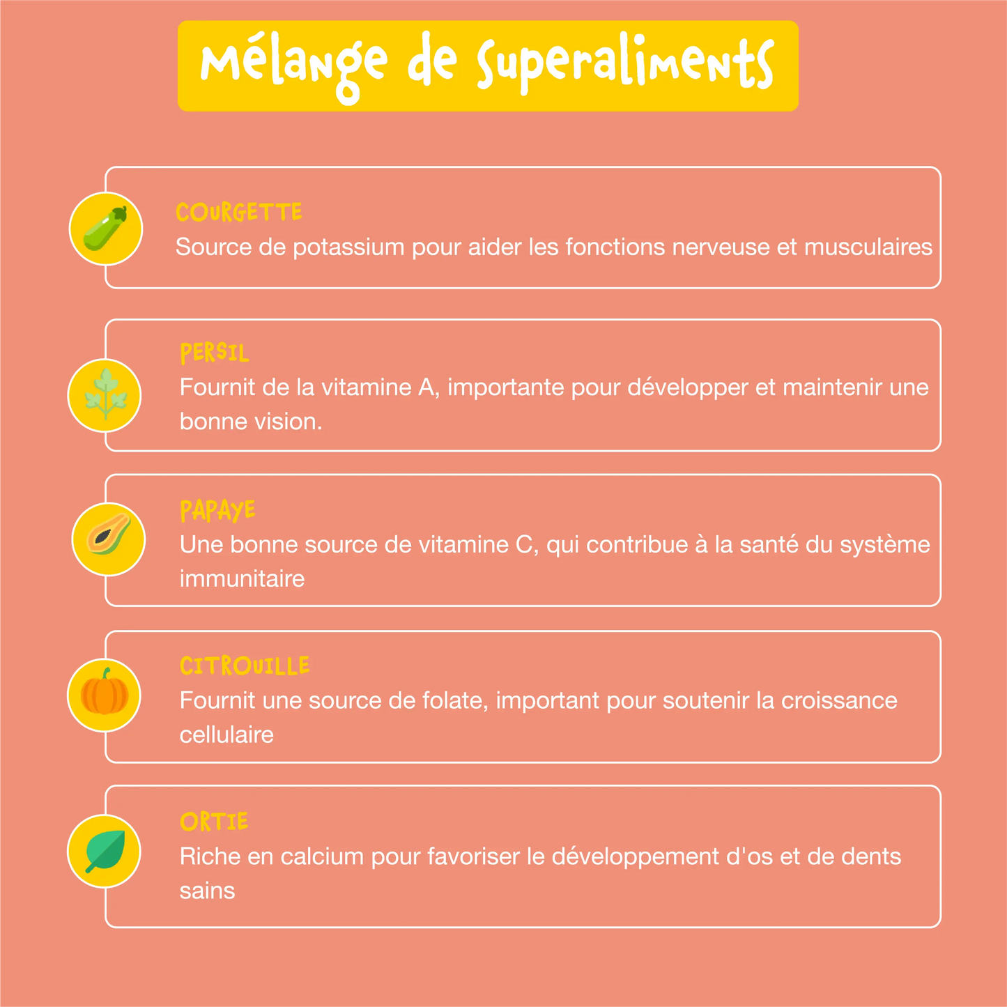 Croquettes sans céréales pour chiots à la dinde Bien-Être+ Shiva & Mia