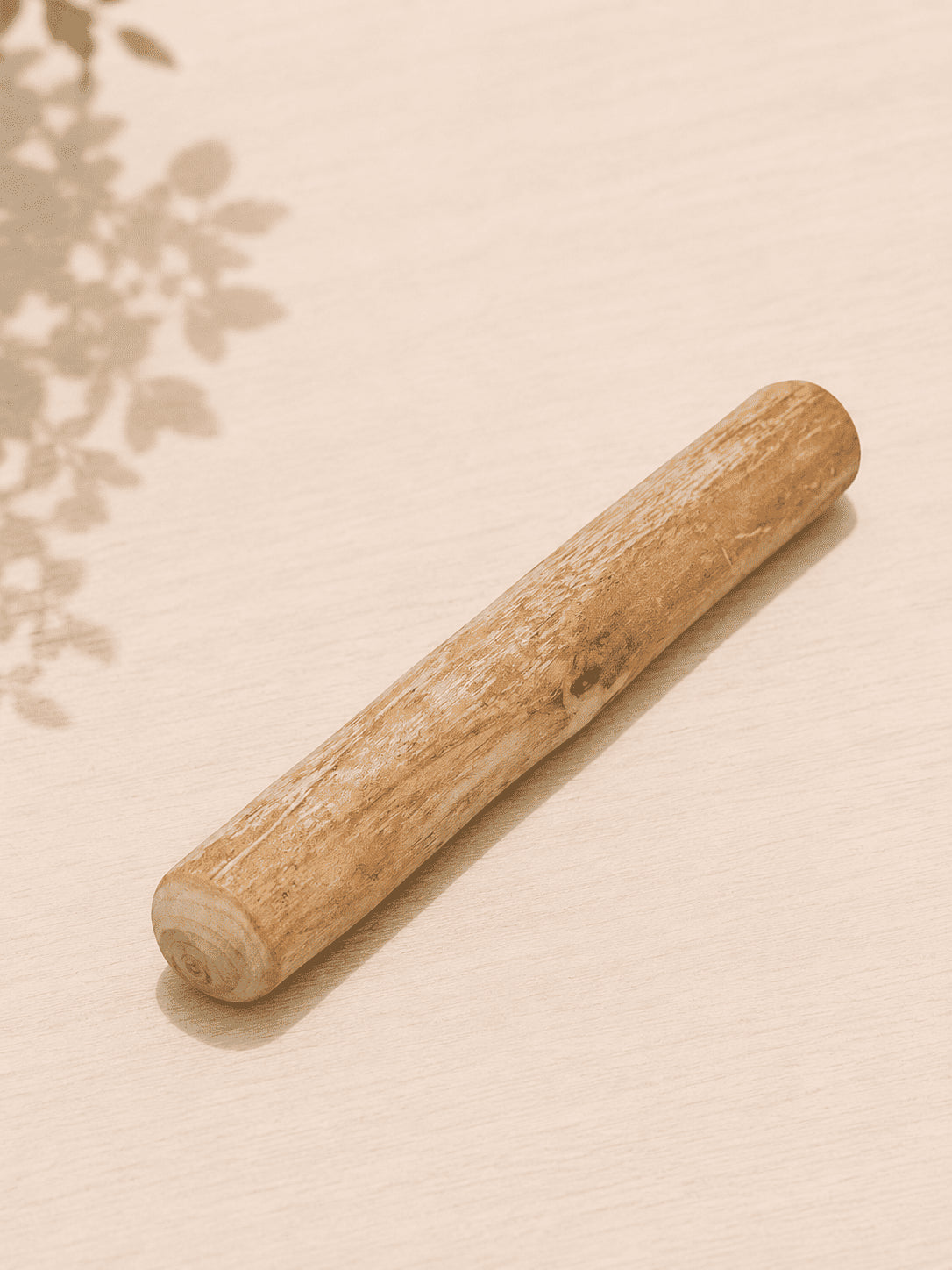 Bois de cannelle à mâcher pour chien