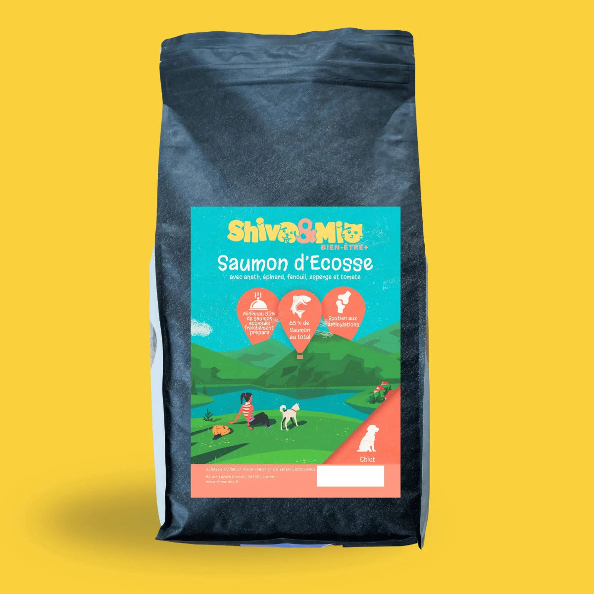 Sac de croquettes saumon premium sans céréales pour chiot