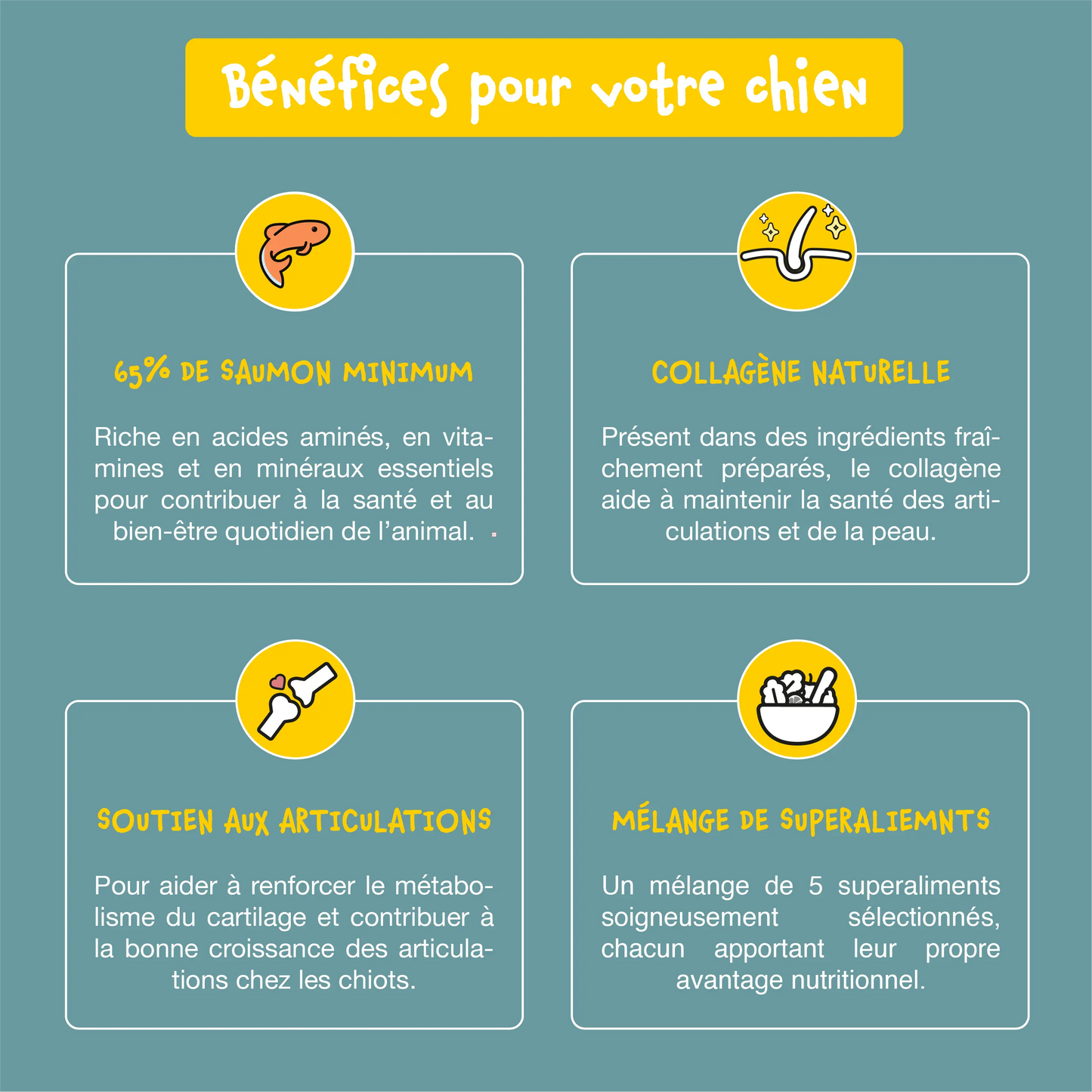 Croquettes sans céréales pour chiots au saumon - Bien-Être+ Shiva & Mia