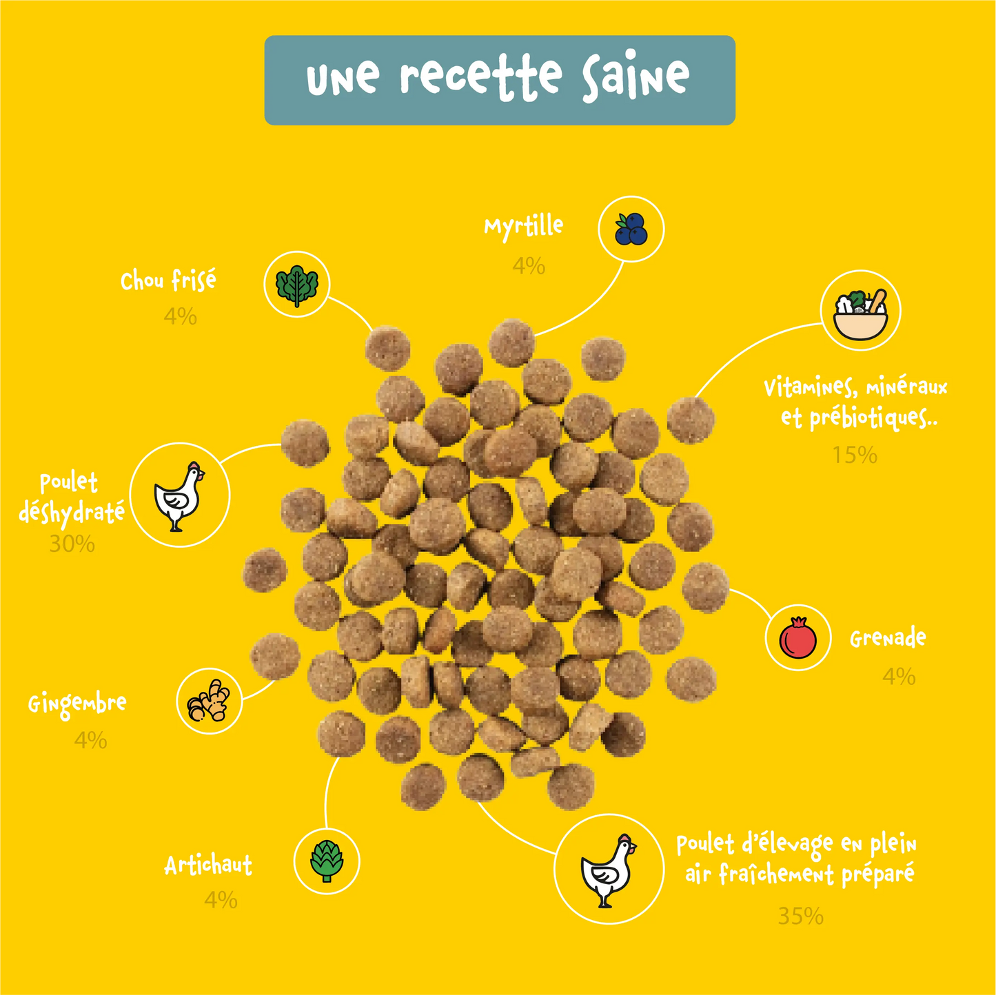 Bien-Être+ Croquettes Poulet sans céréales pour chien adulte Shiva & Mia