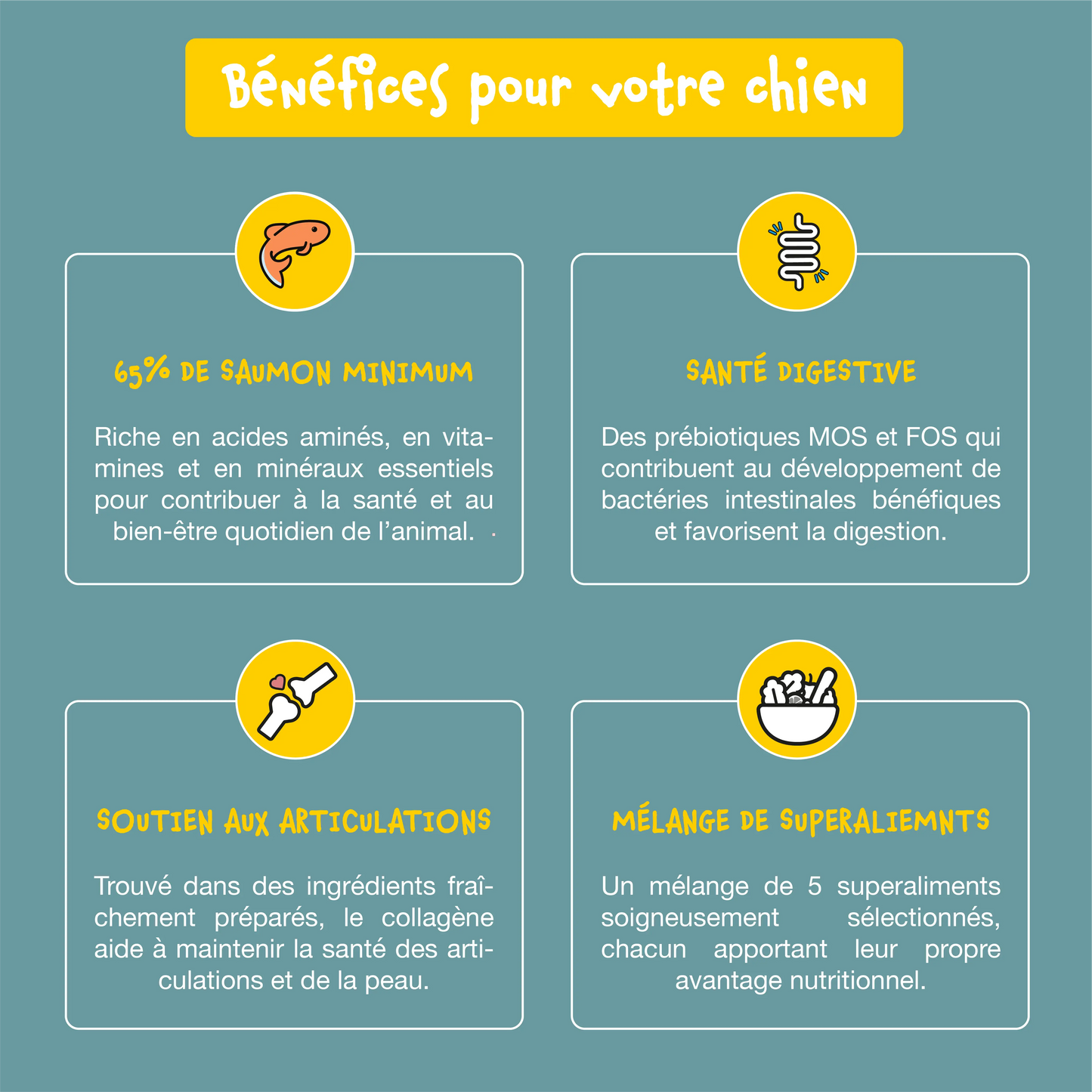 Bien-Être+ Croquettes Saumon Écossais sans céréales pour chien adulte Shiva & Mia