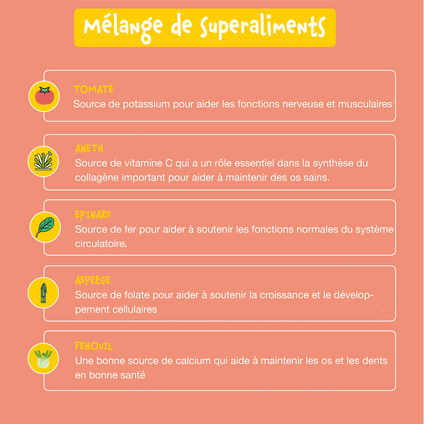 Croquettes sans céréales pour chiots au saumon - Bien-Être+ Shiva & Mia