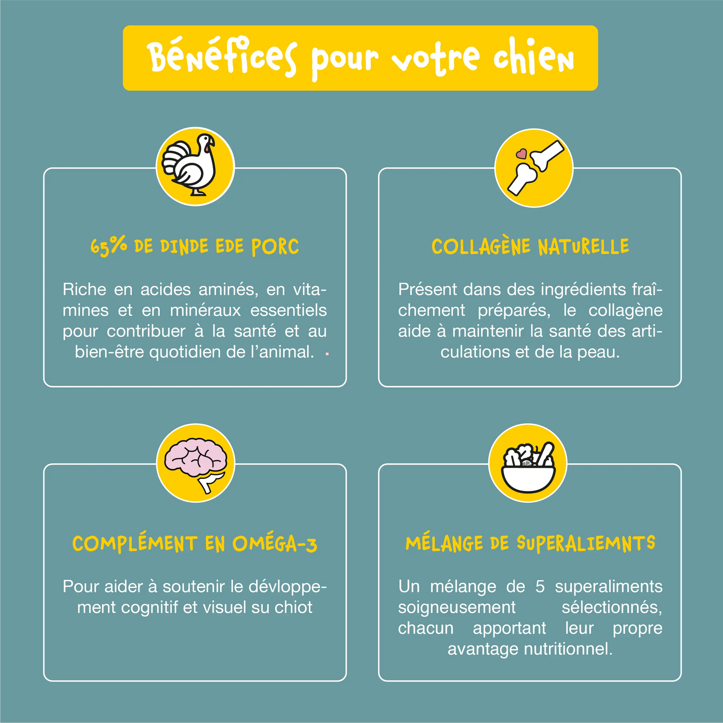 Croquettes sans céréales pour chiots à la dinde Bien-Être+ Shiva & Mia