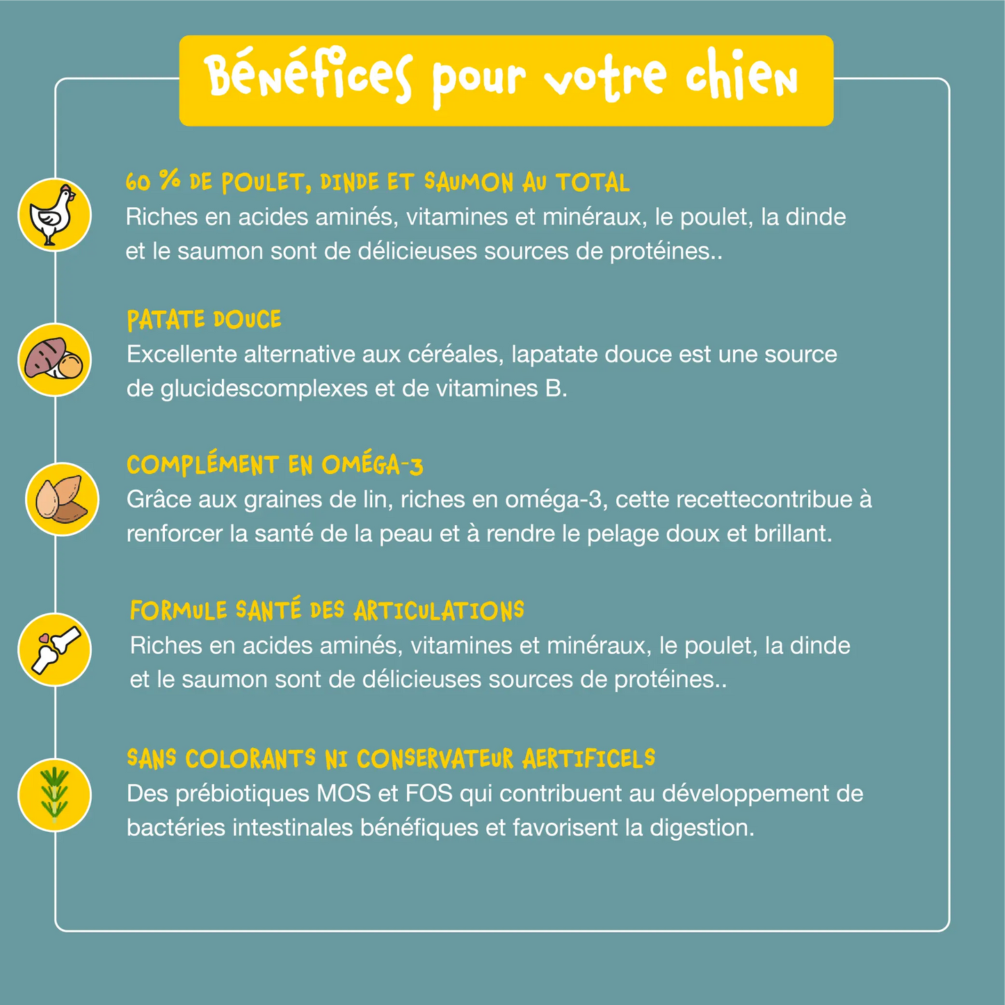 Bien-Être Croquettes Sans Céréales Chiot Poulet, Dinde & Saumon Shiva & Mia