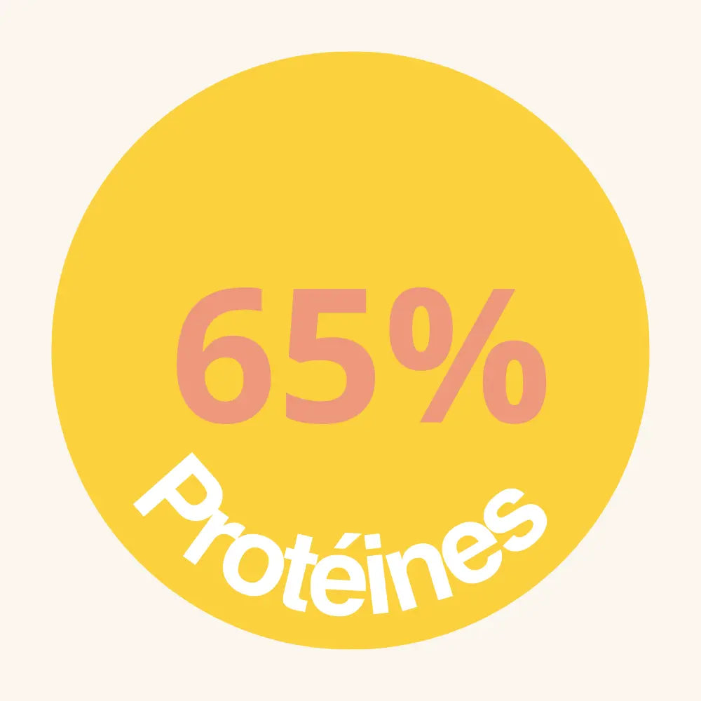 Minimum 65 % de protéines dans nos croquettes Shiva & Mia. 