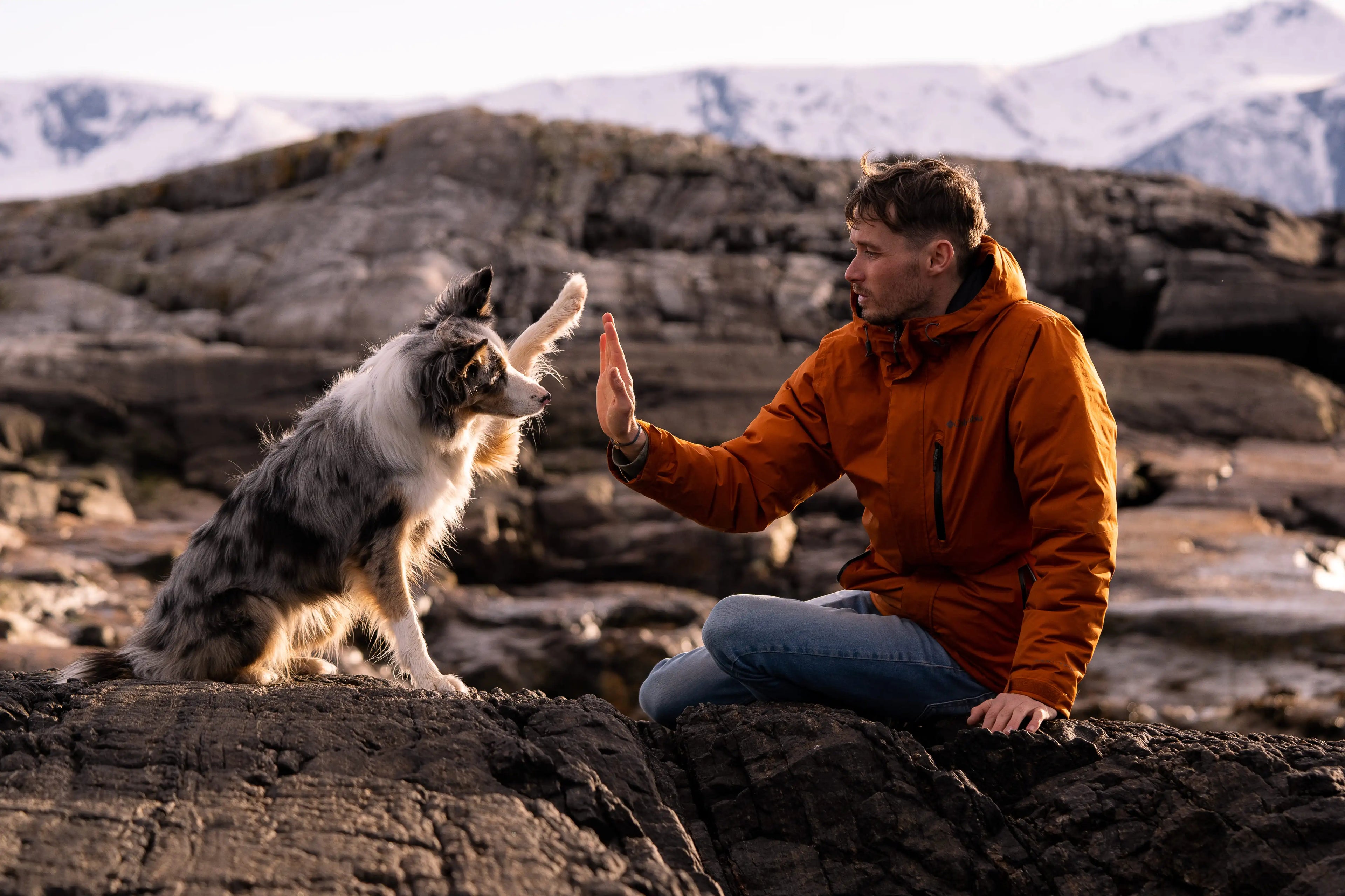 Nicolas et Shiva, qui se tape dans la main. 