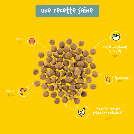 Bien-Être Plus – Croquettes Sans Céréales pour Chats Stérilisés au Poulet, Thon & Saumon Shiva & Mia