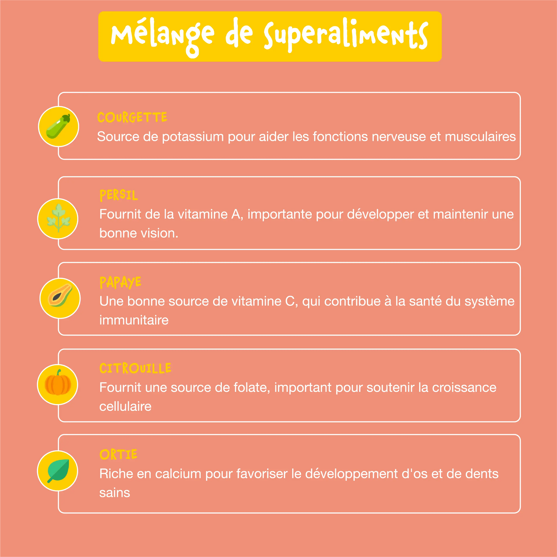 Croquettes sans céréales pour chiots à la dinde Bien-Être+ Shiva & Mia