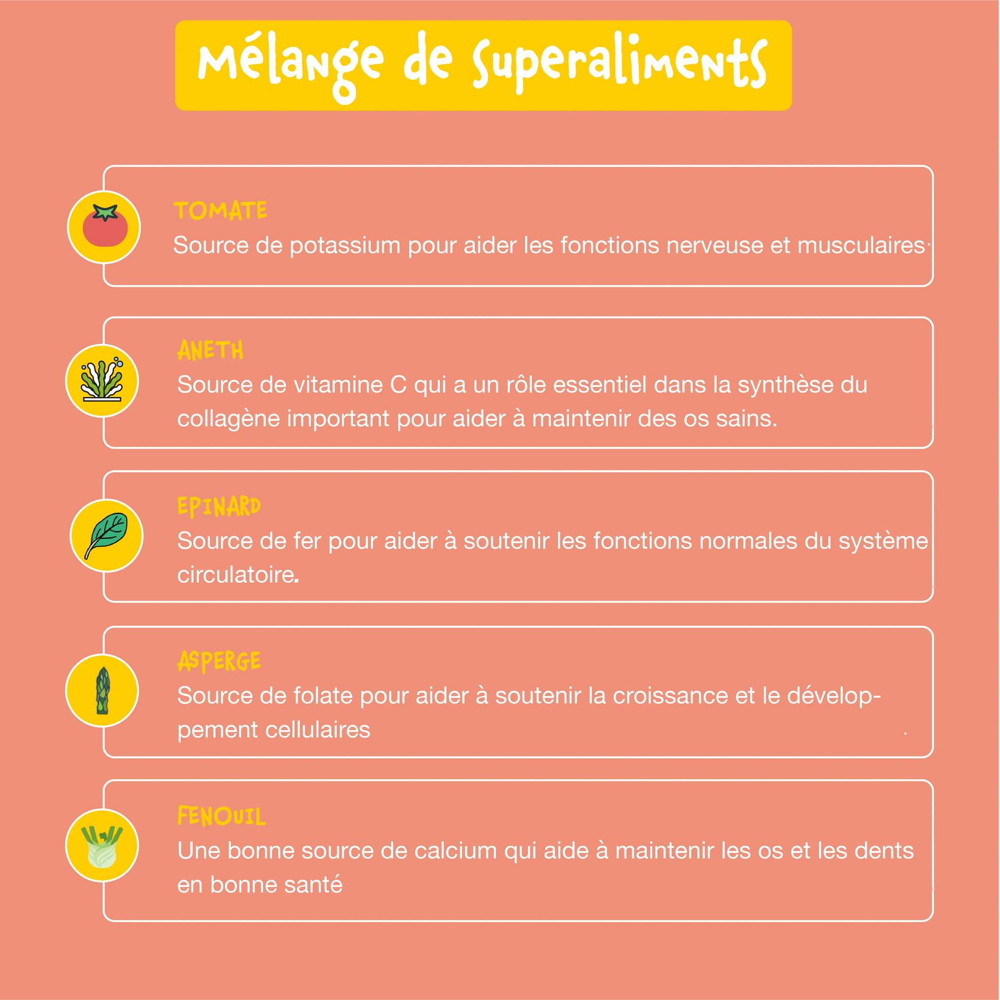 Croquettes sans céréales pour chiots au saumon - Bien-Être+ Shiva & Mia