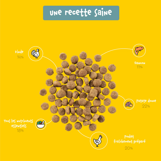 Bien-Être Croquettes Sans Céréales Chiot Poulet, Dinde & Saumon Shiva & Mia