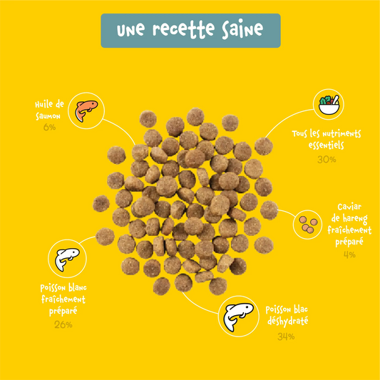 Bien-Être Plus – Croquettes Sans Céréales pour Chats Stérilisés au Poisson blanc et caviar de hareng
