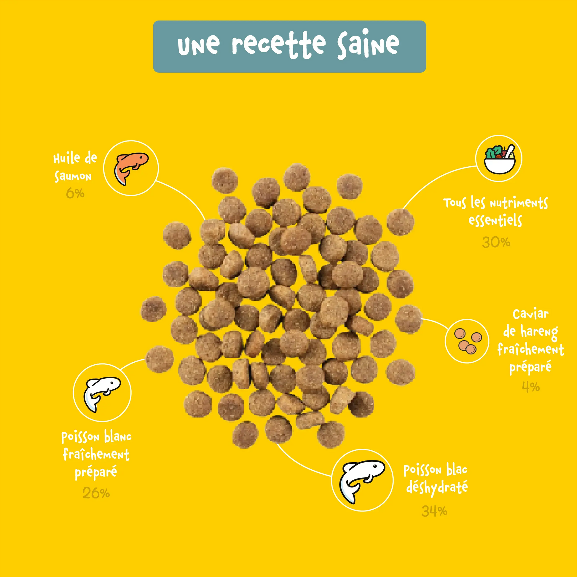 Recette de croquettes pour chat au poisson premium 