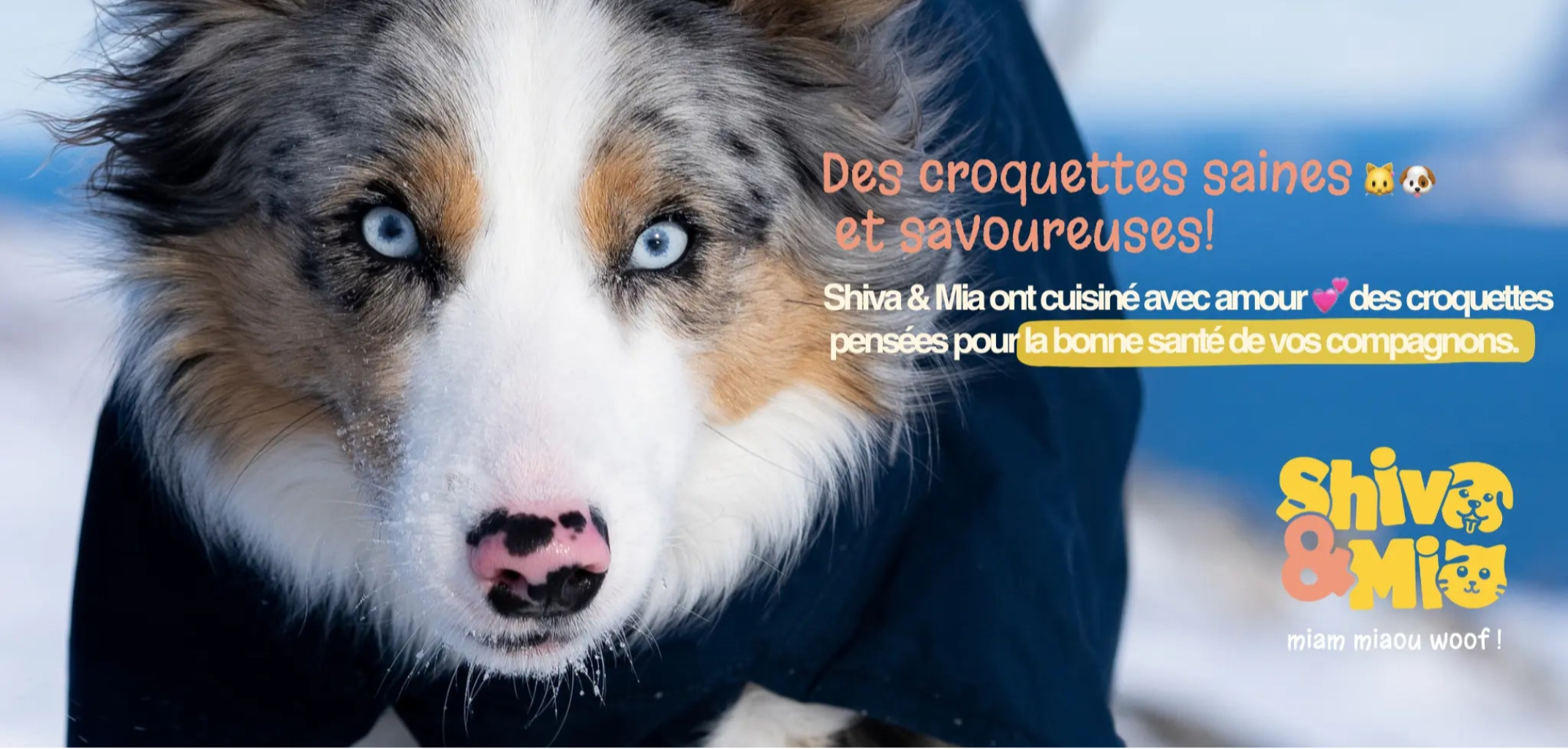 Des croquettes saines et savoureuses Shiva & mia 